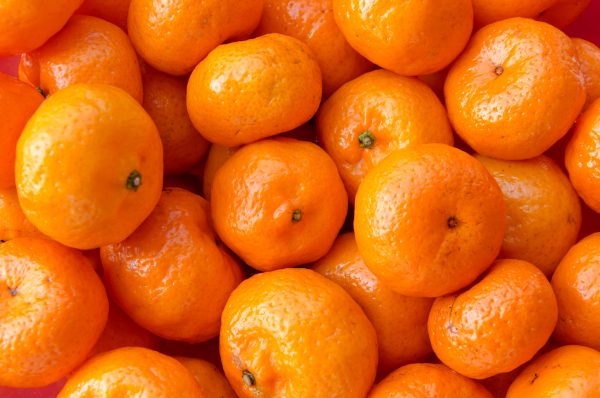 Früchte Nüchter Mandarine