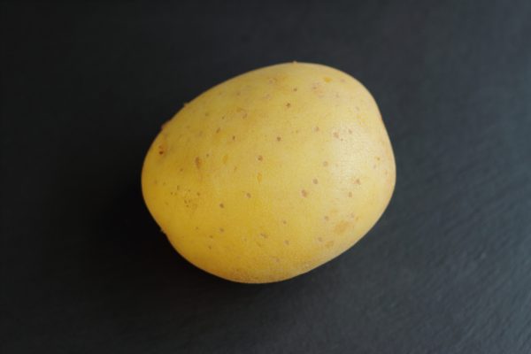Früchte Nüchter Kartoffeln