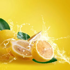 Zitronen Früchte Nüchter