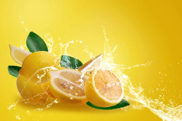 Zitronen Früchte Nüchter